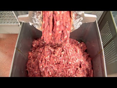 How Dog Food Is Made