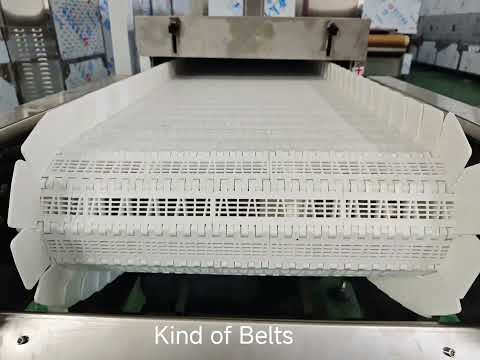 Industrial Microwave Dryer Details