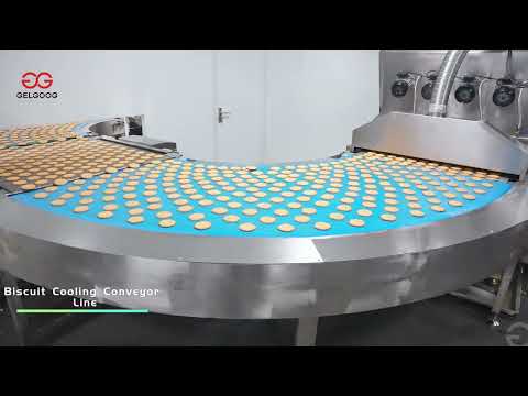 Fully Automatic Soft Biscuit Production Line