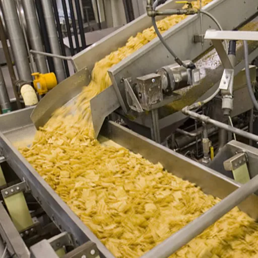 Frying Process in Potato Chip Production