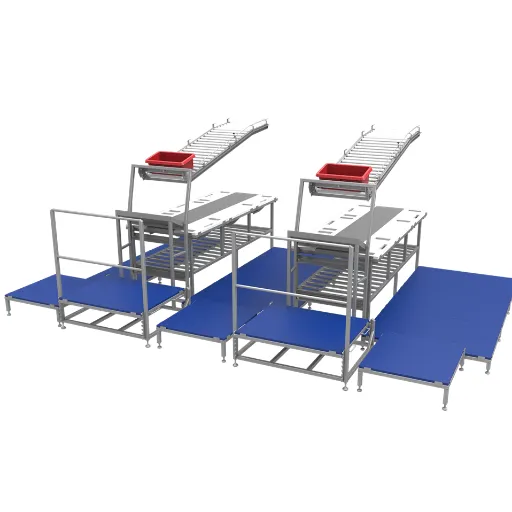 What Are Custom Food Processing Solutions?