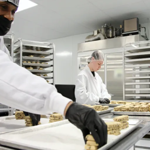 What Are Food Processing Equipment Certifications and Why Do They Matter?