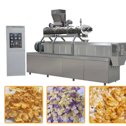 Corn Flakes Market Outlook