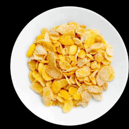 Corn Flakes Quality Control: A Complete Guide for Manufacturers (2026)