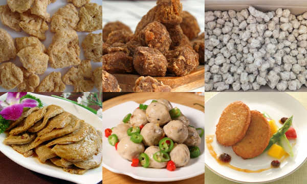 Textured Protein Production Samples