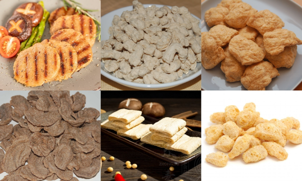 Textured Protein Production Samples