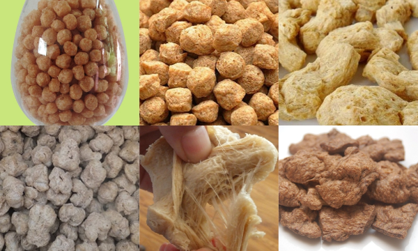 Textured Protein Production Samples