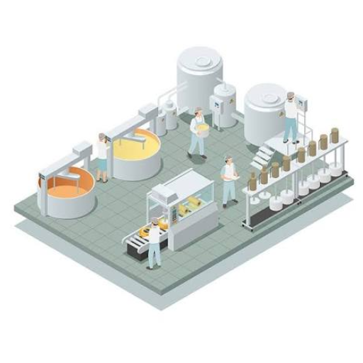 Custom Food Production Line Design: The Complete Engineering Guide